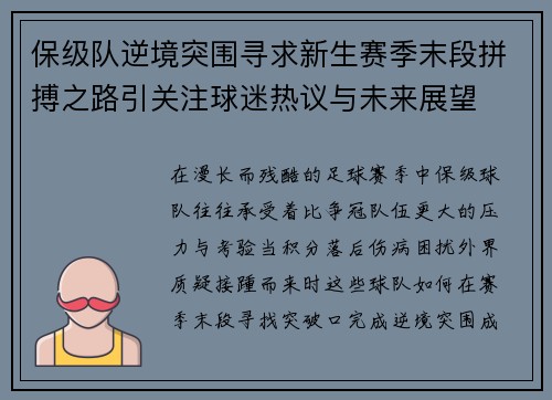保级队逆境突围寻求新生赛季末段拼搏之路引关注球迷热议与未来展望